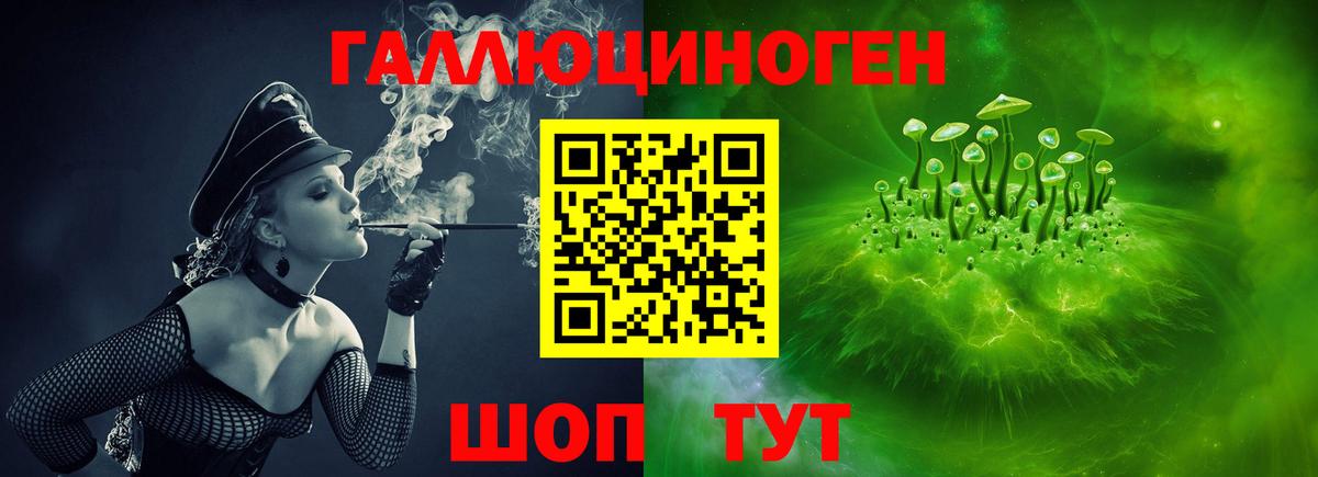 Хасавюрт  Псилоцибиновые грибы мухоморы  Вход с VPN  Псилоцибиновые грибы ЛСД 